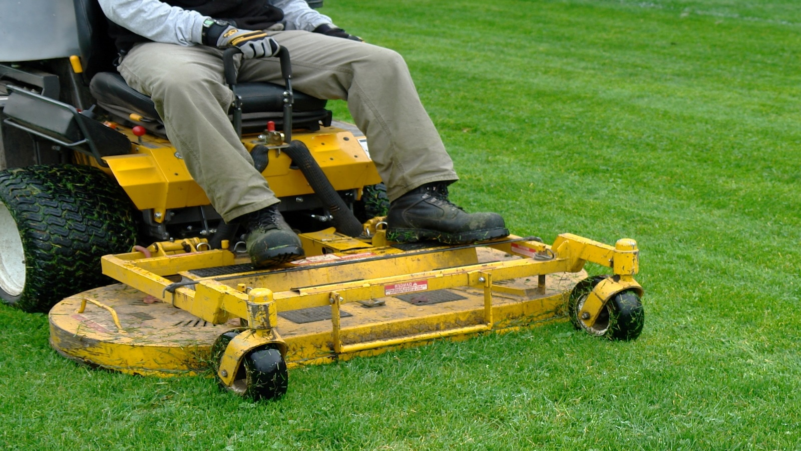 Over twenty years of consistent, meticulous landscape maintenance.